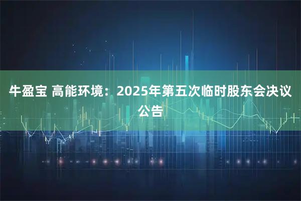 牛盈宝 高能环境：2025年第五次临时股东会决议公告
